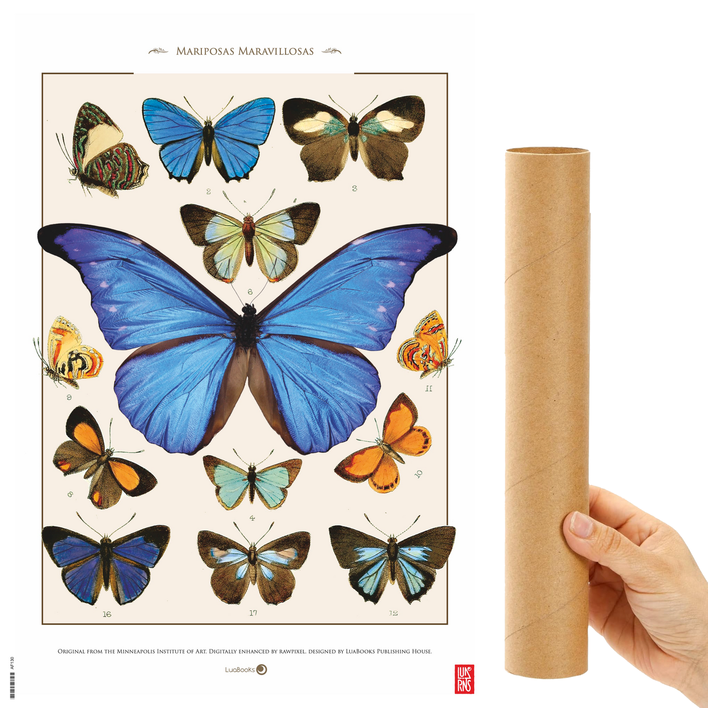 Mariposas maravillosas - Print 30x45cm