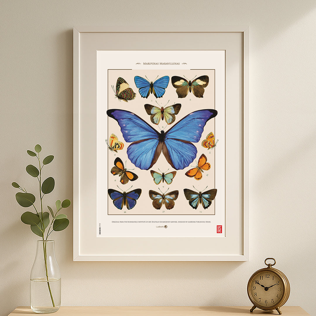 Mariposas maravillosas - Print 30x45cm