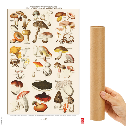 Hongos Maravillosos de Dr H Lenz - Print 30x45cm