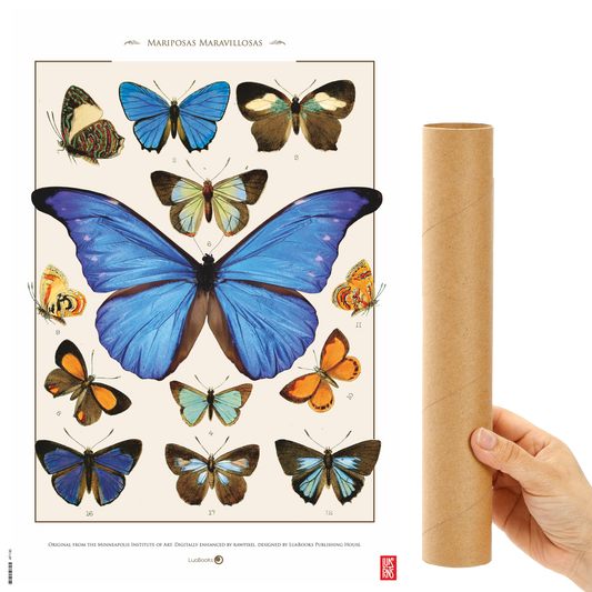 Mariposas maravillosas - Print 30x45cm