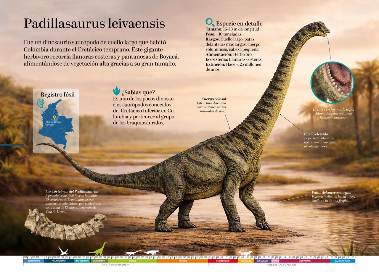 Dinosaurios y otros animales extintos de Colombia